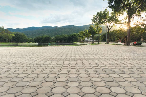 Best Driveway Pavers Near Me  in Cockrell Hill, TX